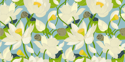 White Lotus flowers and leaves