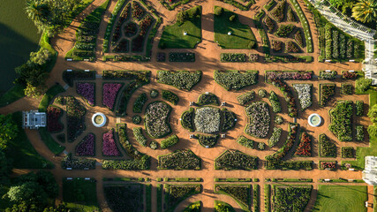 A top-down aerial view of the garden full of roses designed in geometrical shapes and order, next...