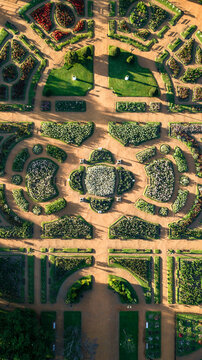 A top-down aerial view of the garden full of roses designed in geometrical shapes and order, next to the little lake during the golden hour in Buenos Aires. 