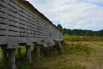 Hórreo Carnota