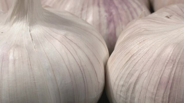 Organic garlic close-up. Lots of garlic.