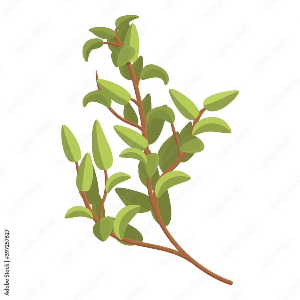 Aufkleber thyme spice icon. cartoon of thyme spice vector icon for web design isolated on white background