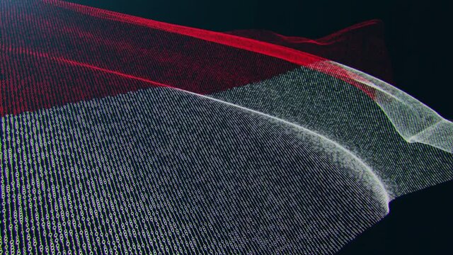 3d render. Monaco digital flag with binary code texture flies in the wind. Seamless loop.