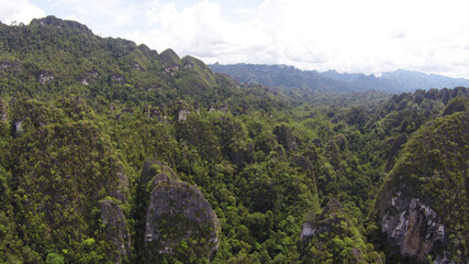 Nature Kars Katepu Merabu Kalimantan Timur