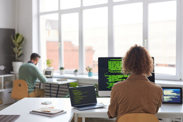 Rear view of people working with new software on computers at the table at office