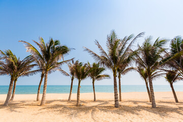 Beautiful Tuy Hoa beach in Vietnam