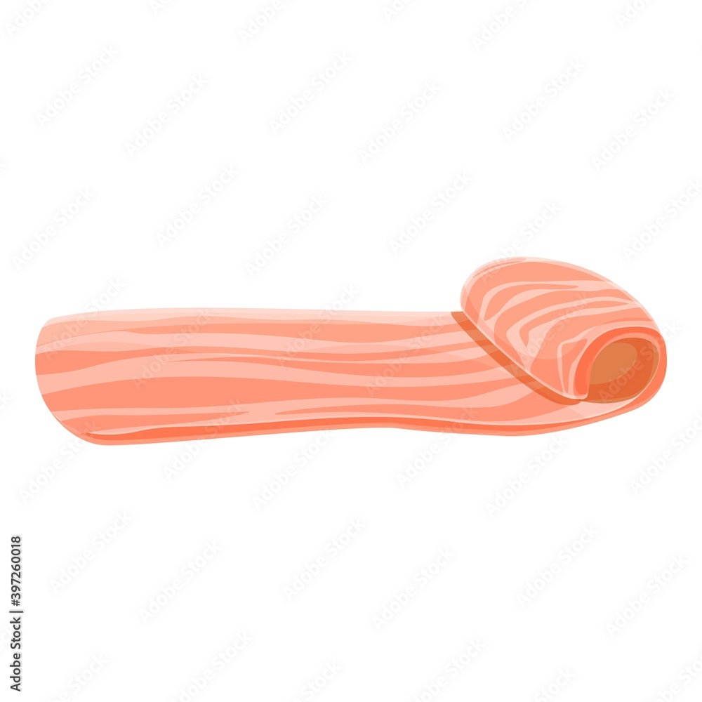 Poster bacon salty icon. cartoon of bacon salty vector icon for web design isolated on white background