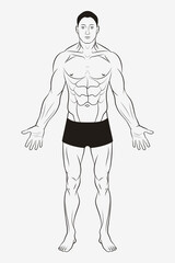 Men's Body and Male Human Anatomy. Shape and Outline Template