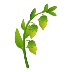 Jojoba branch plant icon. Cartoon of jojoba branch plant vector icon for web design isolated on white background