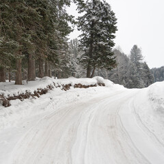 Snow covered country road in winter forest