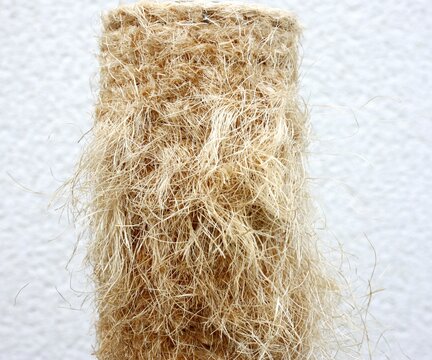 griffoir en ficelle sur arbre &agrave; chat, d&eacute;tail