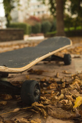 skateboard in a park in autumn