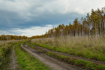 Fototapeta na wymiar Autumn landscape with dirt road. Rural road in autumn field under cloudy sky.
