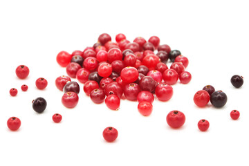 Ripe organic cranberry isolated on white background. Сopy space on a white background.	