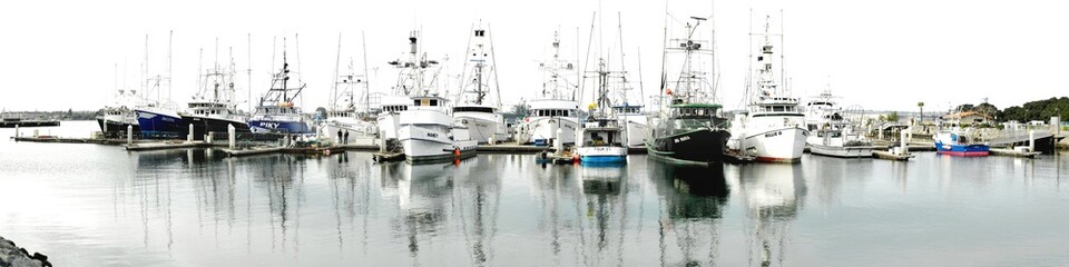 San Diego Tuna Harbour