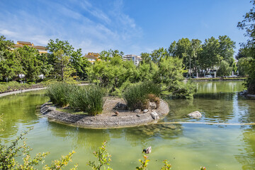 Fototapeta premium View of the beautiful public Paloma Park (Parque De La Paloma) in Benalmadena. Benalmadena - most popular holiday towns on the Costa Del Sol. Andalusia, Spain.