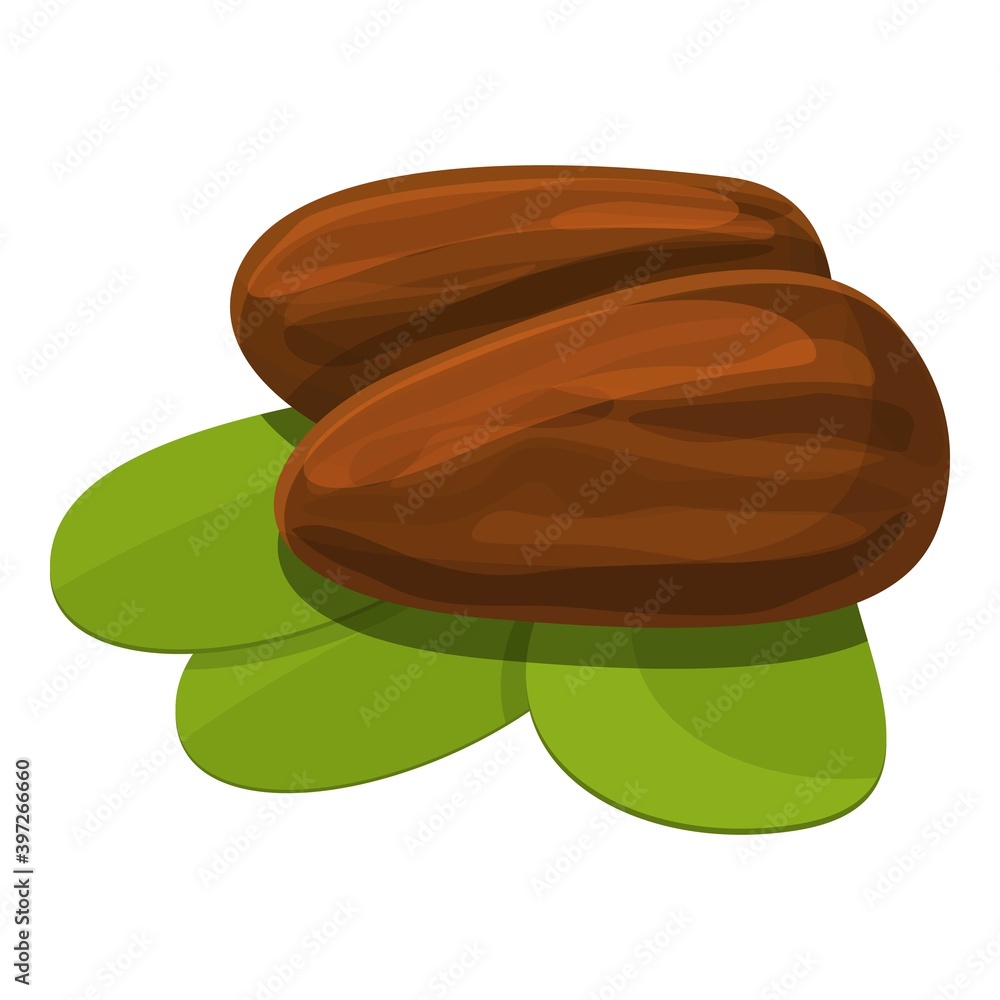 Poster shea tree nuts icon. cartoon of shea tree nuts vector icon for web design isolated on white backgrou
