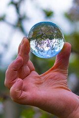 hand holding a lensball in a cherry bloom background