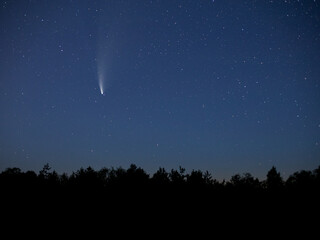Bright stars and planets in the night sky