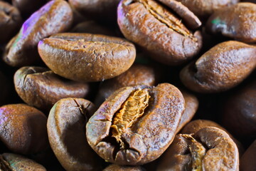 coffee beans background