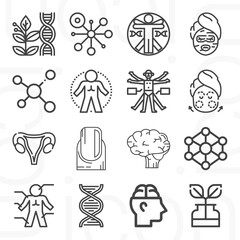 16 pack of morphology  lineal web icons set