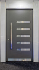 Modern Metal Door