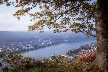 Fototapeta na wymiar Rhine valley view from Erpeler Ley viewpoint travel Germany