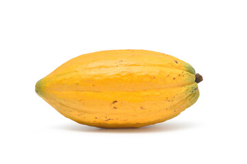 Fresh Yellow cocoa fruit isolated on white background. Clipping path