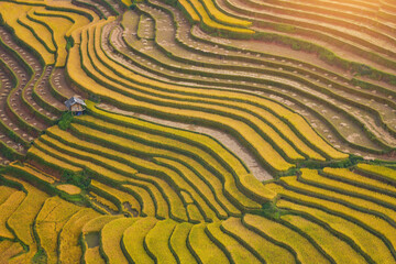 Green Rice fields on terraced in Mu cang chai, Vietnam Rice field