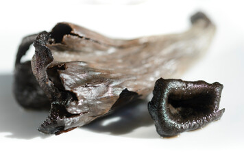 Craterellus cornucopioides,  hongo comestible, del género Craterellus, perteneciente a la familia Cantharellaceae.
Nombre : trompeta de la muerte o de los muertos. 