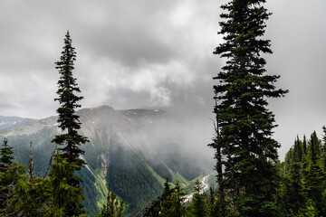 Tall trees frame the river valley and mountains shrouded by clouds