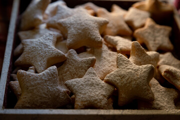 christmas gingerbread cookies