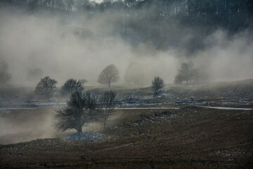 Fototapeta premium Fog in the mist