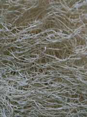 fishing net background