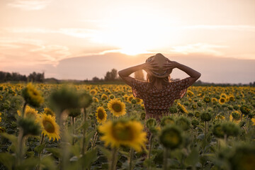 Back view of unrecognizable female in hat standing with arms raised among blooming sunflowers and enjoying freedom in summer evening in field