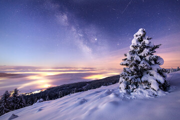 Glowing Northern lights and Milky Way in night sky over mountainous terrain with coniferous trees covered with snow in wintertime