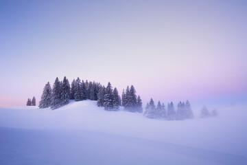 Picturesque winter landscape of snowy valley covered by coniferous woods at sunset