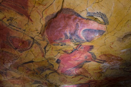 Paleolithic rock art, Polychrome room, Neocueva de Altamira, Santillana del Mar, Cantabria, Spain