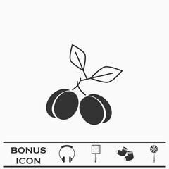 Plum icon flat.