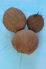 Coconuts set close-up on a light blue background.Fresh coconut .Raw materials for food and cosmetics.Keto diet ingredient.Coconut milk and coconut oil raw materials.copy space.	