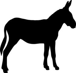 Icon of donkey silhouette. Black vector illustration of farm animal