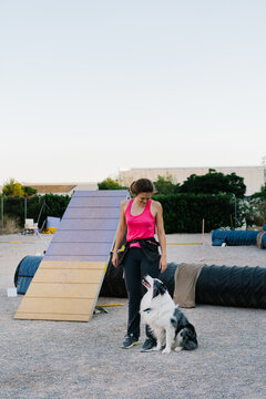 Full length of female owner and Border Collie looking at each other while preparing for training on dog agility equipment in park