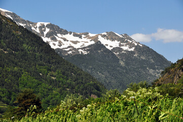 Scenery. Snow-capped mountain peaks. Mountain View. Green meadow in the mountains.
