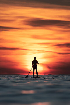 Silhouette of faceless female surfer standing on paddle board and rowing against spectacular sun in sunset sky