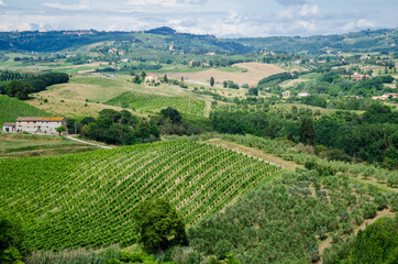 Amazing springtime colorful landscape in Tuscany. Green fields and vineyards with olive trees in Tuscany, Italy