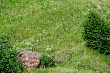 Roof tiles on field of beautiful green grass 