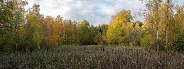 Panorama over forest pond bordered with autumn colored trees on fall day in southern Sweden