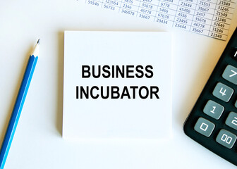 On the sheet for notes the text BUSINESS INCUBATOR, next to the calculator, blue pencil, reports.