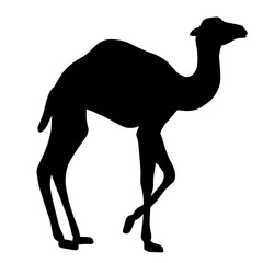 Black silhouette of a camel. Desert animal illustration.