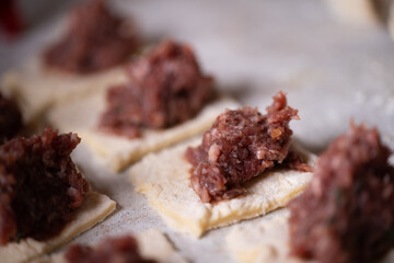 Minced meat and dough for making dumplings